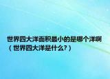 世界四大洋面積最小的是哪個洋?。ㄊ澜缢拇笱笫鞘裁?）