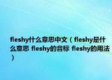 fleshy什么意思中文（fleshy是什么意思 fleshy的音標(biāo) fleshy的用法）