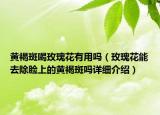 黃褐斑喝玫瑰花有用嗎（玫瑰花能去除臉上的黃褐斑嗎詳細介紹）