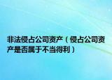 非法侵占公司資產(chǎn)（侵占公司資產(chǎn)是否屬于不當(dāng)?shù)美? /></span></a>
                        <h2><a href=