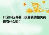 什么叫撫養(yǎng)費(fèi)（撫養(yǎng)費(fèi)的相關(guān)費(fèi)用有什么呢）