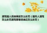 酒駕撞人逃逸事故怎么處罰（撞死人酒駕怎么處罰酒駕肇事逃逸后怎么處罰）