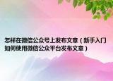 怎樣在微信公眾號(hào)上發(fā)布文章（新手入門如何使用微信公眾平臺(tái)發(fā)布文章）