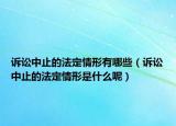 訴訟中止的法定情形有哪些（訴訟中止的法定情形是什么呢）