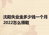 沈陽失業(yè)金多少錢一個(gè)月2022怎么領(lǐng)取