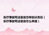醫(yī)療事故司法鑒定怎樣劃分責(zé)任（醫(yī)療事故司法鑒定怎么申請(qǐng)）