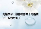 離婚孩子一般都?xì)w男方（離婚孩子一般判給誰）