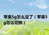 蘋果5g怎么沒了（蘋果5g怎么切換）