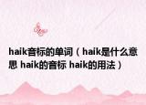 haik音標(biāo)的單詞（haik是什么意思 haik的音標(biāo) haik的用法）