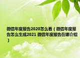 微信年度報(bào)告2020怎么看（微信年度報(bào)告怎么生成2021 微信年度報(bào)告在哪介紹）