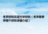 冬筍好吃還是竹筍好吃（冬筍跟春筍哪個好吃詳細(xì)介紹）