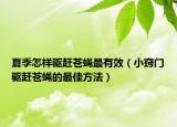 夏季怎樣驅(qū)趕蒼蠅最有效（小竅門驅(qū)趕蒼蠅的最佳方法）
