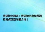 黃碼檢測通道（黃碼檢測點和普通檢測點區(qū)別詳細(xì)介紹）