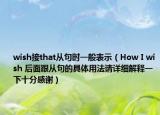 wish接that從句時(shí)一般表示（How I wish 后面跟從句的具體用法請?jiān)敿?xì)解釋一下十分感謝）