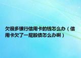 欠很多銀行信用卡的錢怎么辦（信用卡欠了一屁股債怎么辦啊）