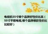 電視機55寸哪個品牌好性價比高（55寸平板電視,哪個品牌哪款性價比比較好）