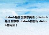 disturb是什么意思英語（disturb是什么意思 disturb的音標(biāo) disturb的用法）