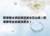 歐萊雅水潤去屑洗發(fā)水怎么樣（歐萊雅專業(yè)去屑洗發(fā)水）
