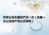 怎樣公證夫妻財產(chǎn)歸一方（夫妻一方公證財產(chǎn)可以分到嗎）