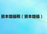 資本增值稅（資本增值）