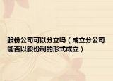 股份公司可以分立嗎（成立分公司能否以股份制的形式成立）