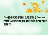 fire的中文意思是什么意思?。╢ireproof是什么意思 fireproof的音標(biāo) fireproof的用法）