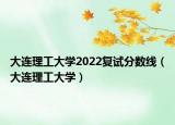 大連理工大學(xué)2022復(fù)試分?jǐn)?shù)線（大連理工大學(xué)）