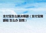 支付寶怎么解決限額（支付寶限額啦 怎么辦 別慌）