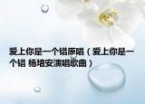 愛上你是一個錯原唱（愛上你是一個錯 楊培安演唱歌曲）