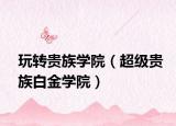 玩轉(zhuǎn)貴族學(xué)院（超級(jí)貴族白金學(xué)院）