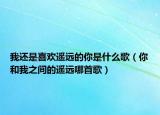 我還是喜歡遙遠(yuǎn)的你是什么歌（你和我之間的遙遠(yuǎn)哪首歌）