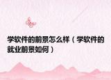 學軟件的前景怎么樣（學軟件的就業(yè)前景如何）