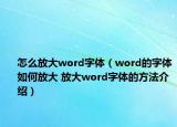 怎么放大word字體（word的字體如何放大 放大word字體的方法介紹）