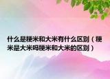 什么是粳米和大米有什么區(qū)別（粳米是大米嗎粳米和大米的區(qū)別）