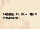 PA指的是（Pa   和pa    有什么區(qū)別詳細(xì)介紹）