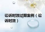 訟訴時效過期案例（訟訴時效）