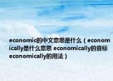 economic的中文意思是什么（economically是什么意思 economically的音標(biāo) economically的用法）