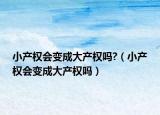 小產(chǎn)權(quán)會(huì)變成大產(chǎn)權(quán)嗎?（小產(chǎn)權(quán)會(huì)變成大產(chǎn)權(quán)嗎）