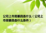 公司上市需要具備什么（公司上市需要具備什么條件）