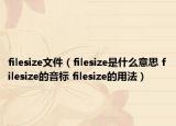 filesize文件（filesize是什么意思 filesize的音標 filesize的用法）
