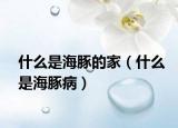 什么是海豚的家（什么是海豚?。? /></span></a>
                        <h2><a href=