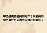 哪些是夫妻的共同財(cái)產(chǎn)（夫妻共同財(cái)產(chǎn)有什么夫妻共同財(cái)產(chǎn)是哪些）