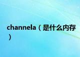 channela（是什么內(nèi)存）