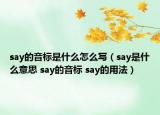 say的音標(biāo)是什么怎么寫(xiě)（say是什么意思 say的音標(biāo) say的用法）