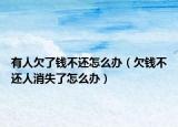 有人欠了錢不還怎么辦（欠錢不還人消失了怎么辦）
