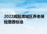 2022咸陽(yáng)渭城區(qū)養(yǎng)老保險(xiǎn)繳費(fèi)標(biāo)準(zhǔn)