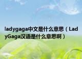 ladygaga中文是什么意思（LadyGaga漢語是什么意思啊）