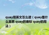 quay用英文怎么讀（quay是什么意思 quay的音標(biāo) quay的用法）