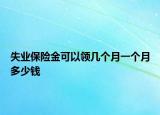 失業(yè)保險(xiǎn)金可以領(lǐng)幾個(gè)月一個(gè)月多少錢