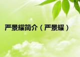 嚴景耀簡介（嚴景耀）
